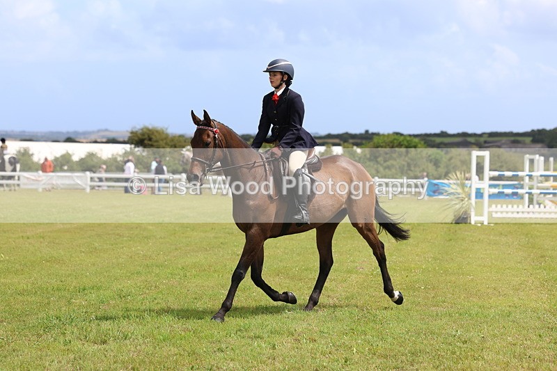 3E7A2356 - Class 11: Retraining of Racehorse