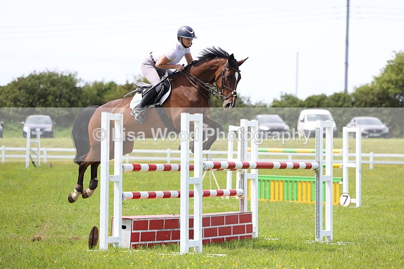 3E7A1405 - Class 12: Senior Foxhunter/1.20 open