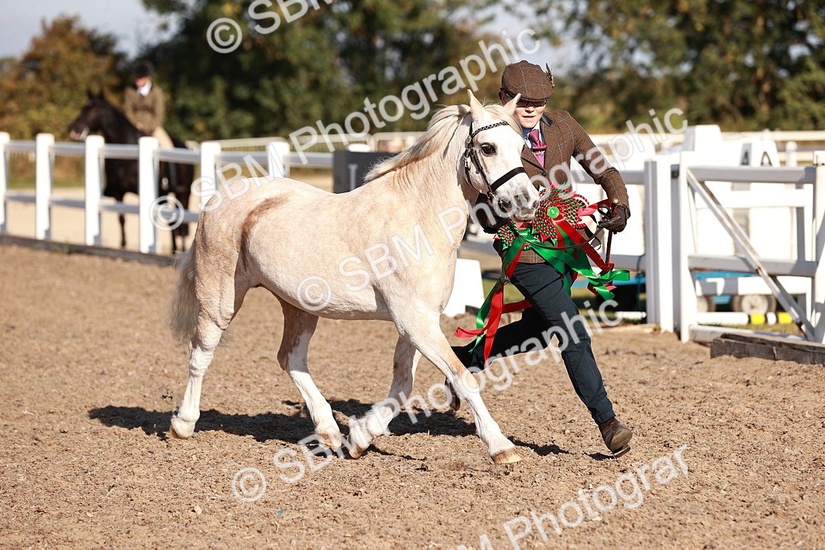 SBM_11475 - Class 402 - IH  Veteran pony