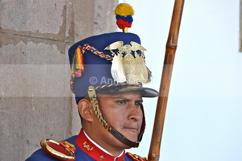 Keeping Guard - Ecuador