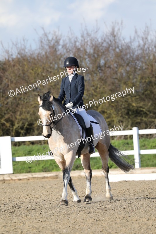 20260314-5825 - DR 7 - Elementary 1