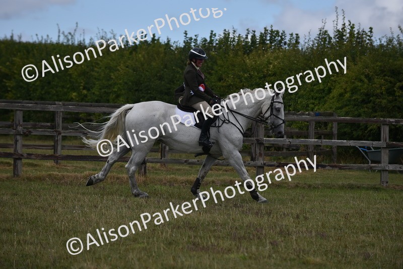 20250831-4146 - Class 13 - Working Hunter Horse or Pony