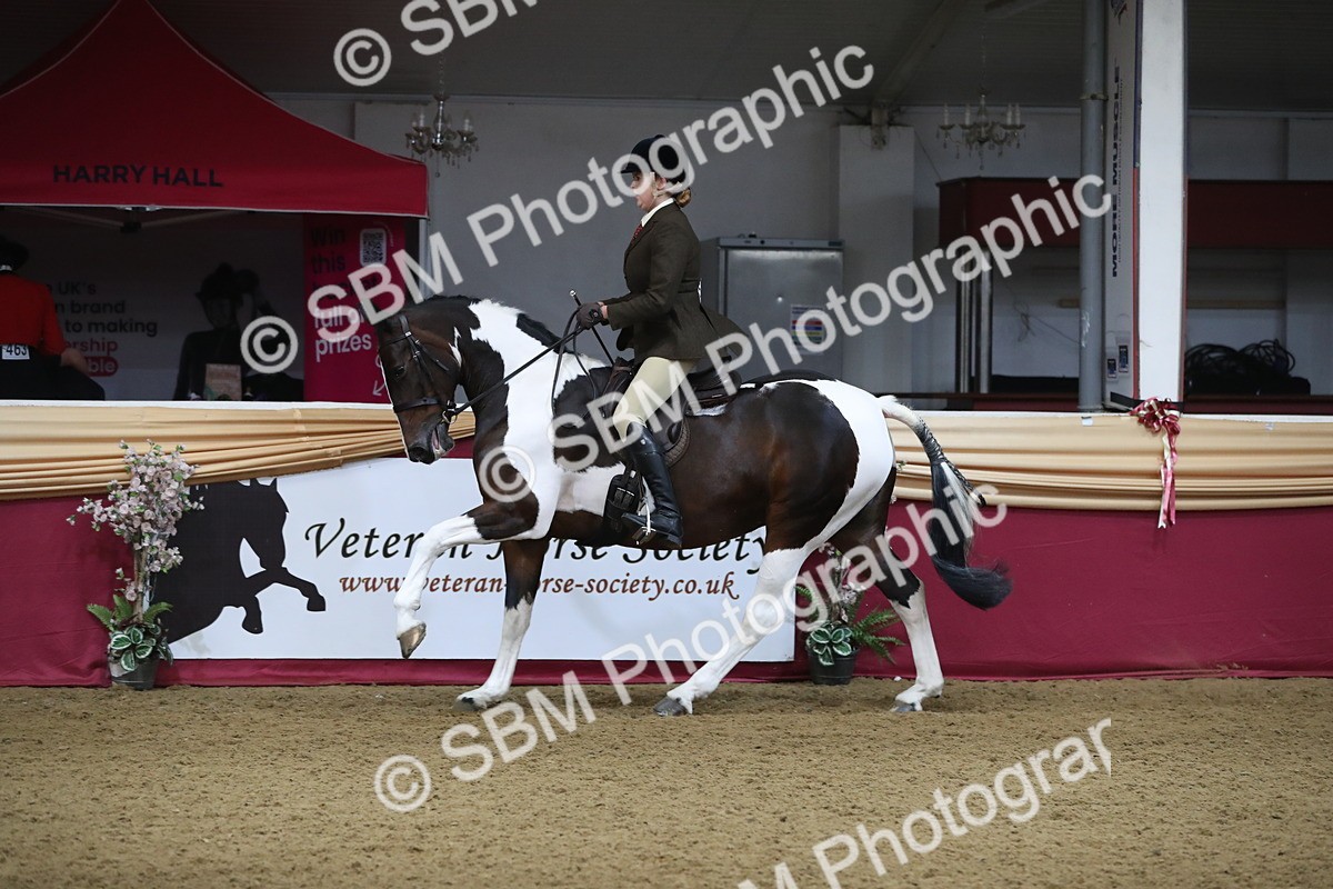 SBM_10425 - Class 102 Equitation (best rider) Adult