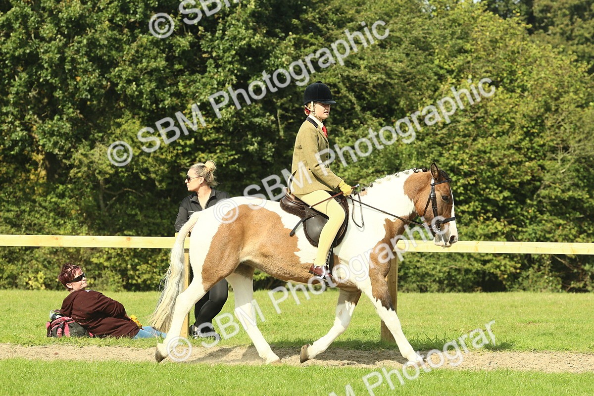 SBM_67438 - S56 - Coloured Pony Ridden