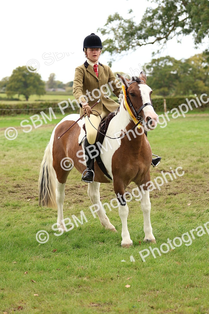 SBM_64666 - S58 - Coloured Pony Ridden