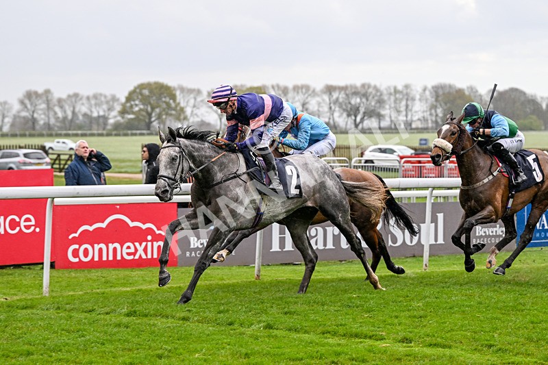 150426-Race 7-Wondrous Light-8074 - Race 7