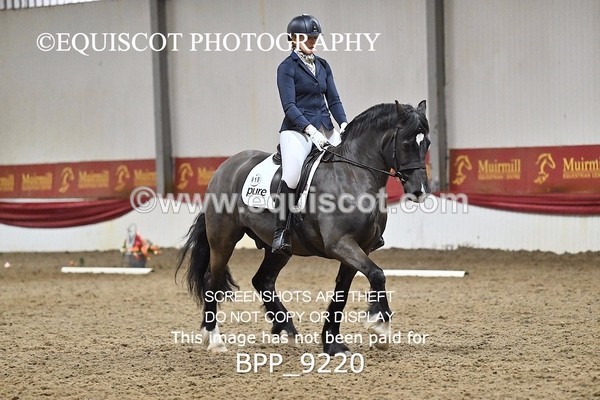 BPP_9220 - ELEM 6