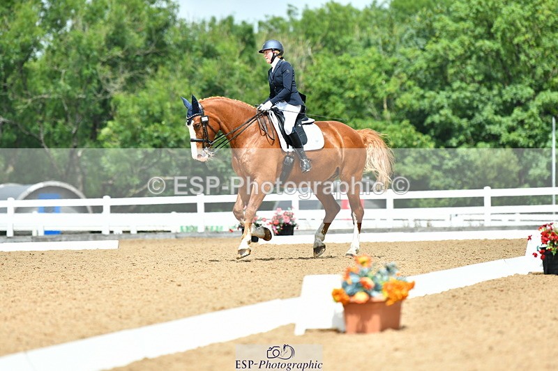 230701A-130104-06196 - Cls 8 Elementary 57