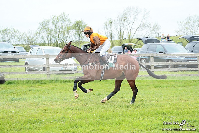 PtP 040526 829 - Mollington Point-to-Point 04/05/26