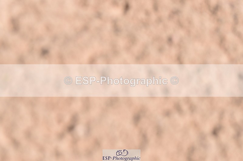 230520A-142420-00581 - 1m