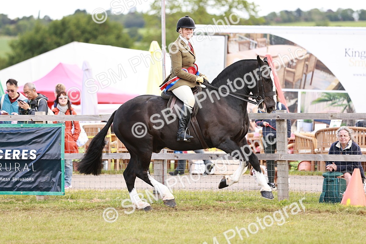 SBM_14118 - Class 85-87 - RIHS Cobs