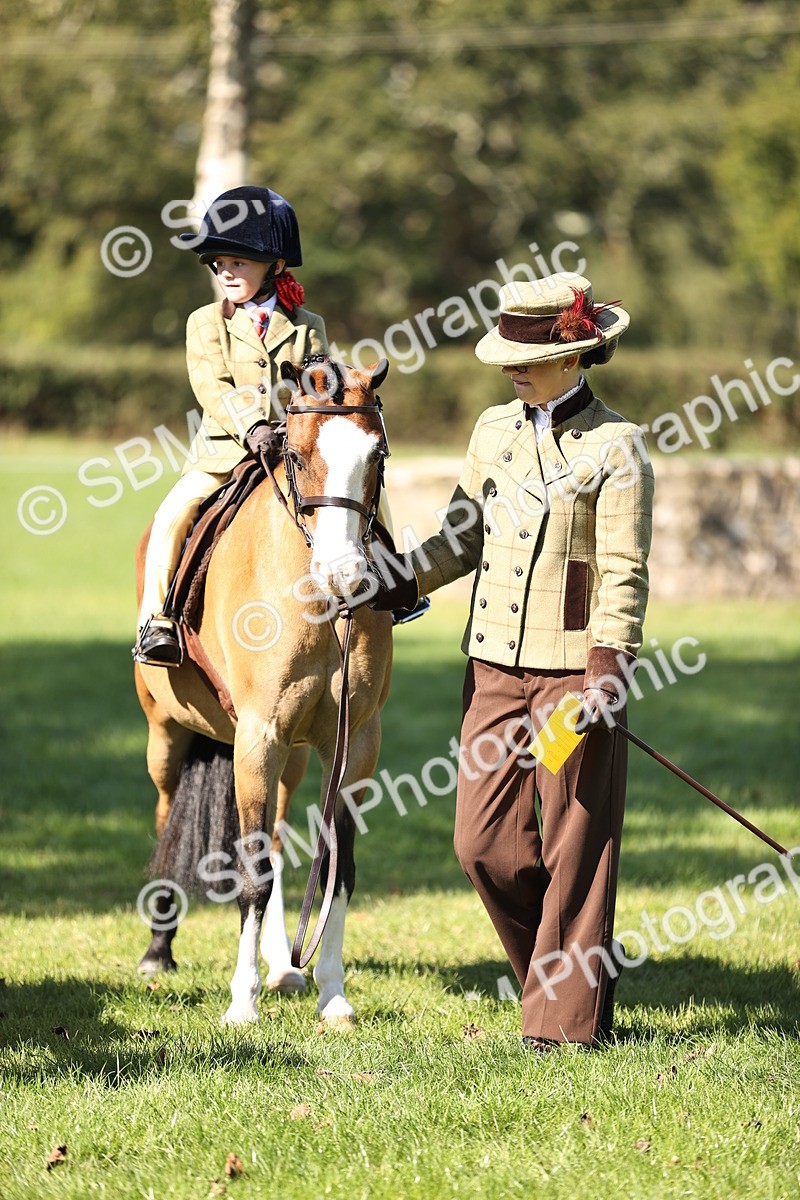 SBM_19368 - S3 - TSR Ridden Pony Showing