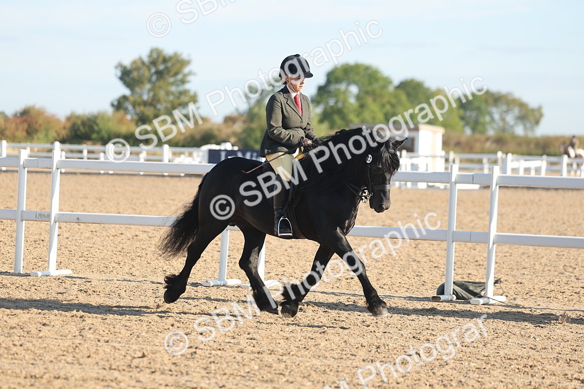 SBM_10955 - Class 302 - Ridden M&M Large Breeds