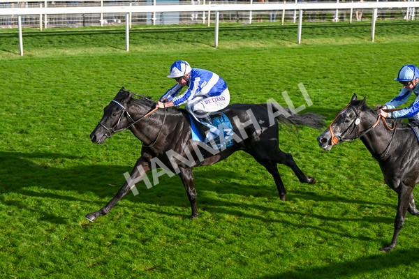 111024-Race 6-Fondo Blanco-2151 - Race 6 4.20pm William Hill EBF Novice Stakes
