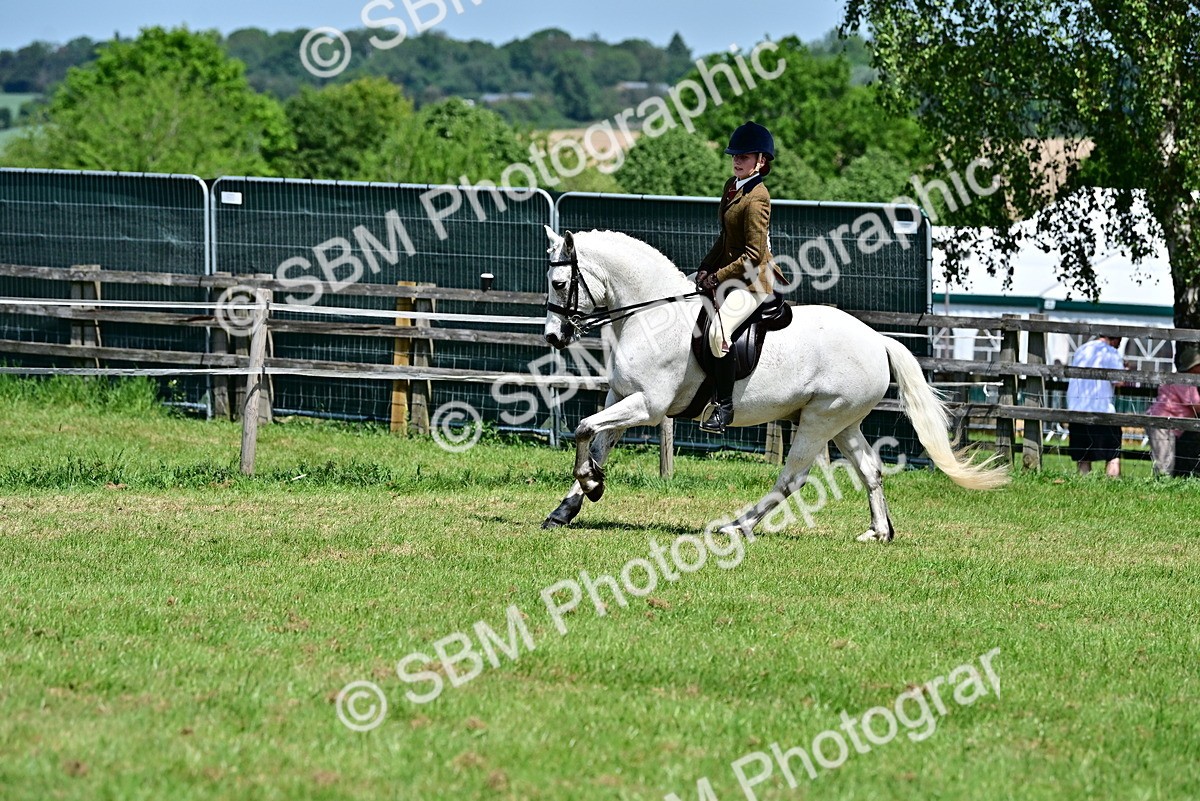 SBM_15387 - Class 95-97 - BSPS LHS Performance Ponies