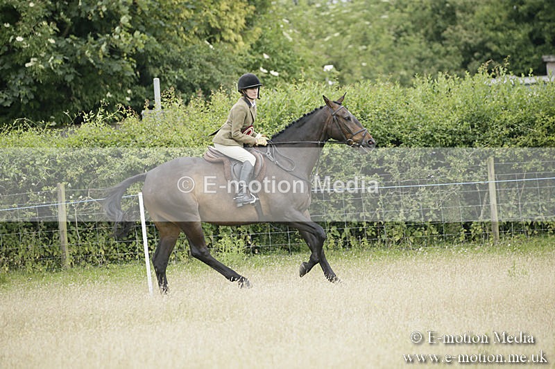 B230619-0975 - Bourne Valley Riding Club Summer Show 23/06/19