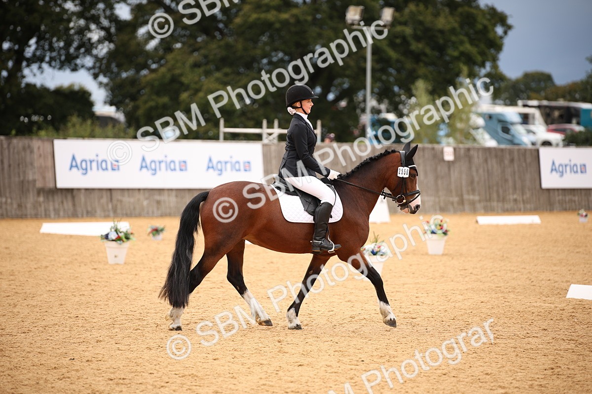 SBM_12236 - D3 Small  Tour Championship Intro A