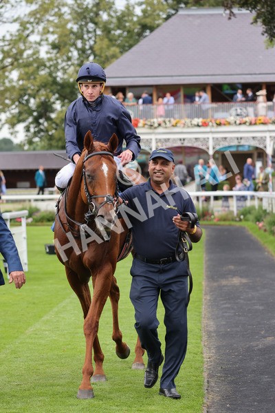 yr20082021r7-42 - Race 7 5.10pm Sky Bet Mile
