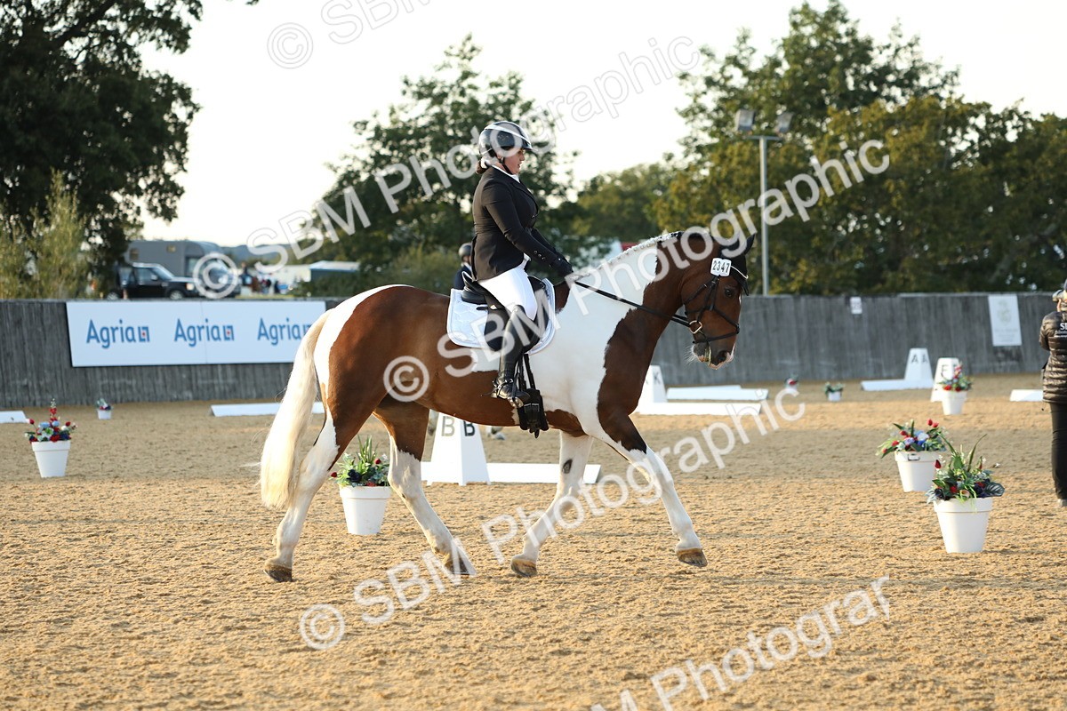 SBM_30594 - D20 - Grand Tour Championship - Elementary 44