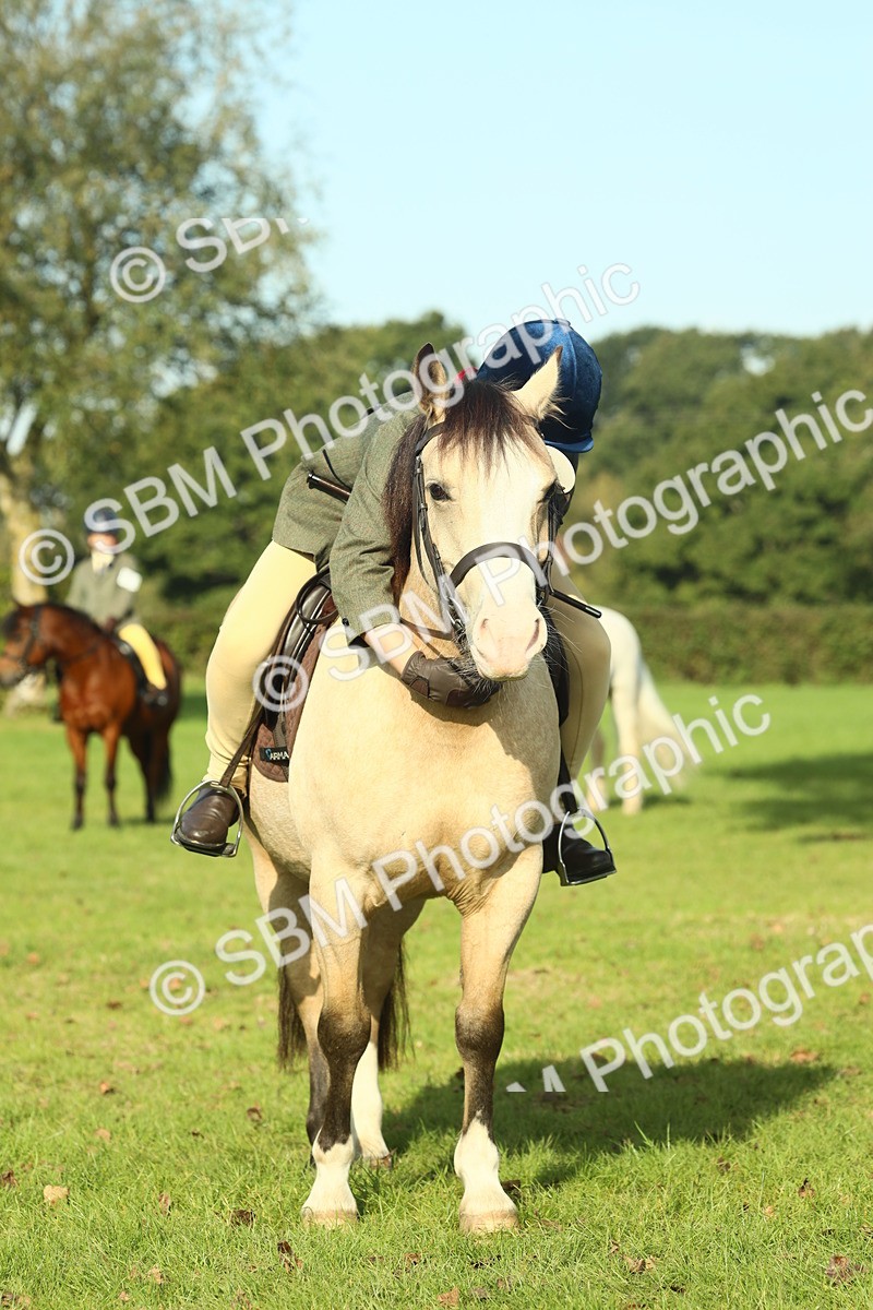 SBM_59234 - S38 - Starters Ridden Showing