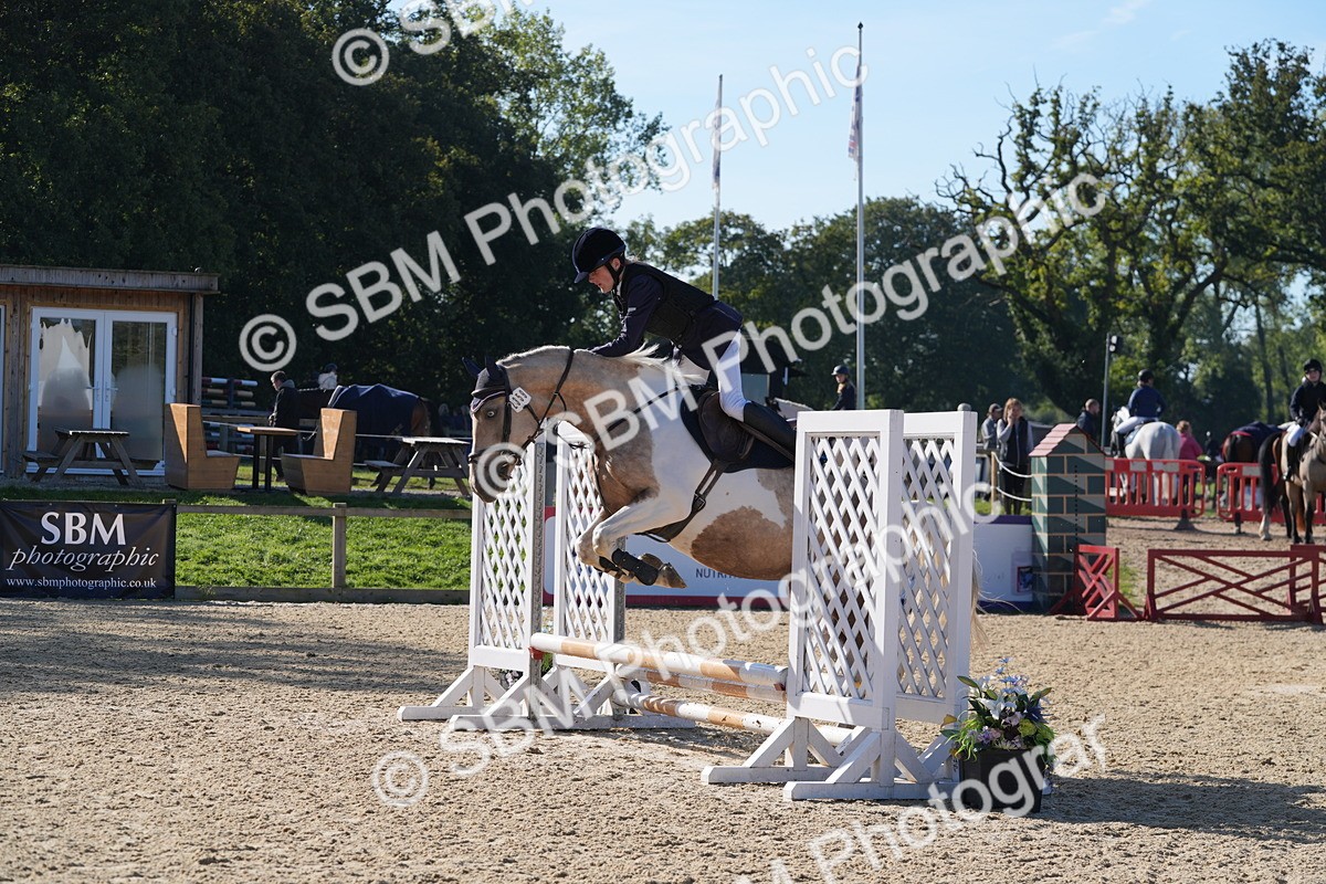 SBM_36131 - J 20 - Junior Horse 50cm Championship