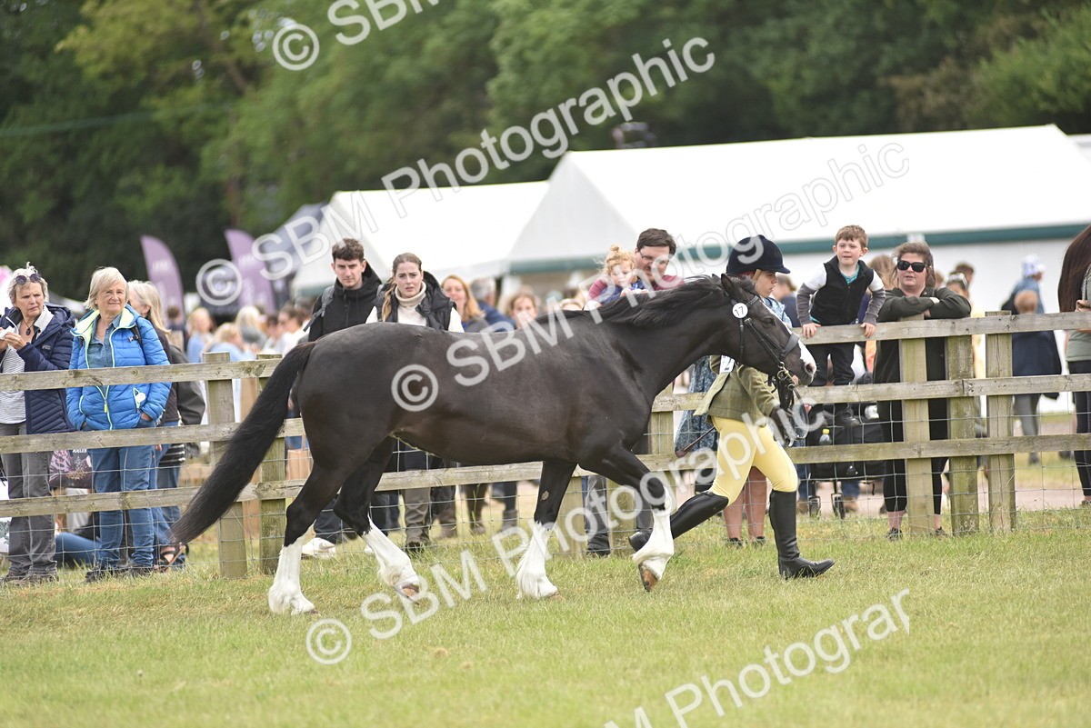 SBM_16020 - Class 117-122 - SSADL RIHS Qualifier