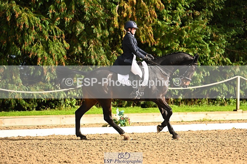 231021-153544-20899 - 259-BOSTON.IV-Rosie.Thomson-DR