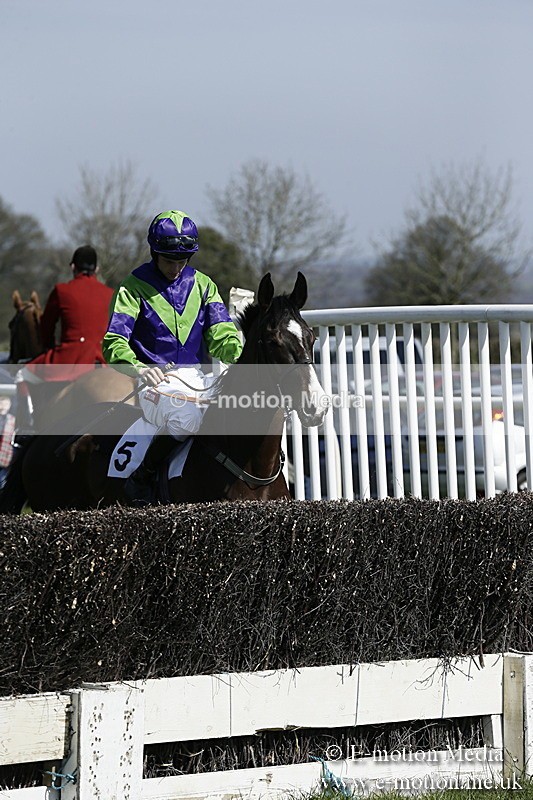 PtP 260317 32 - Mendip Farmers Point-to-Point Ston Easton 26/03/17