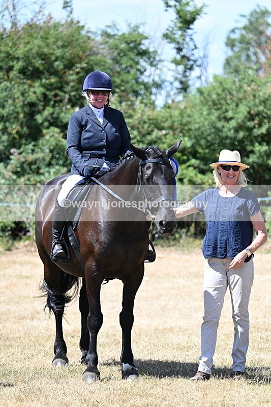 WJ7_3180 - Class 7 Riding Club Show Horse