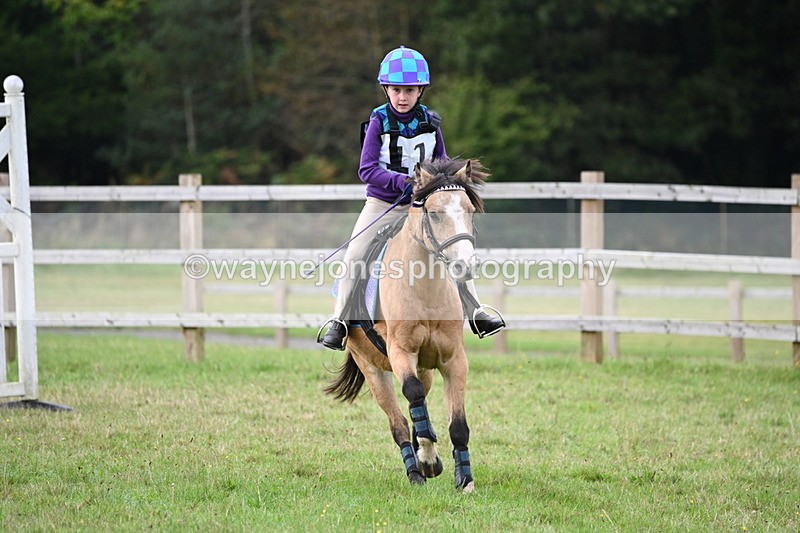 WJ6_0109 - 40cm Time 10:00 to 10:28