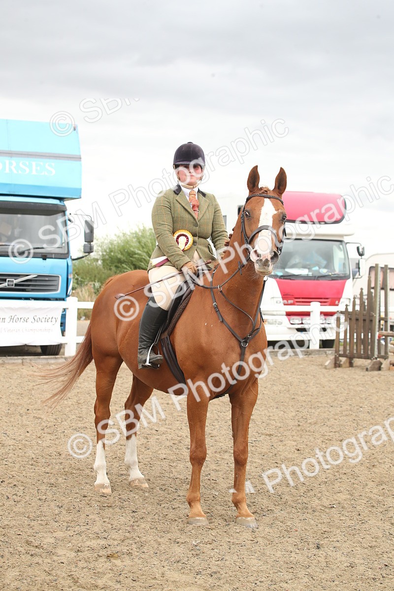 SBM_18478 - Class 510a - Working Veteran 90cm (15-19)