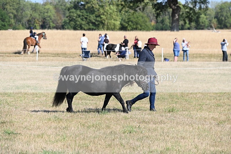 WJ6_4179 - Class 16 Condition & Turn Out