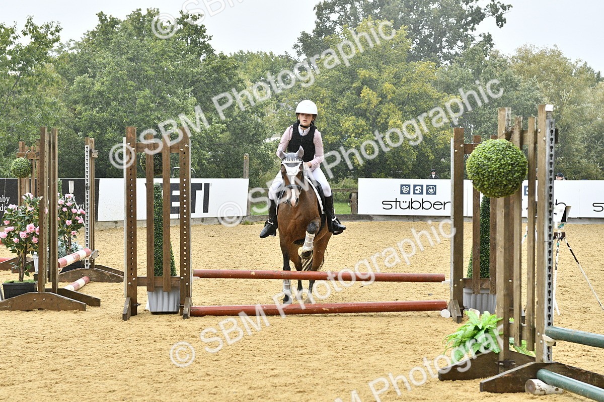 SBM_70993 - J3 - Mini Tour Junior Pony 40cm championship