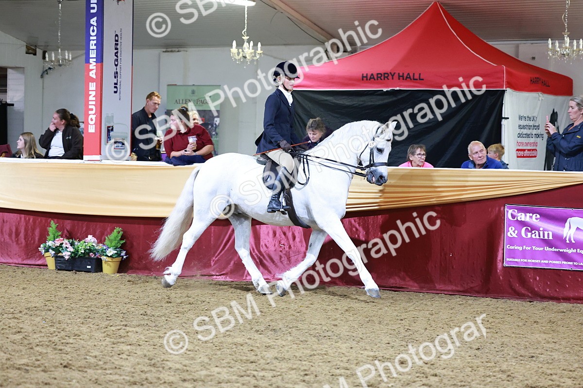 SBM_21067 - Class P - M&M Champs