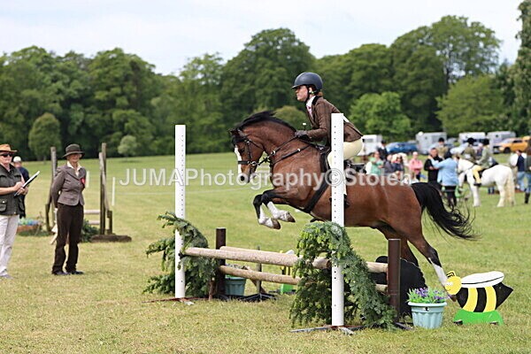 IMG_2883 - Working Hunter