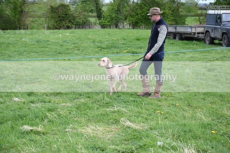 WJ6_8105 - Class 2 Best Pedigree