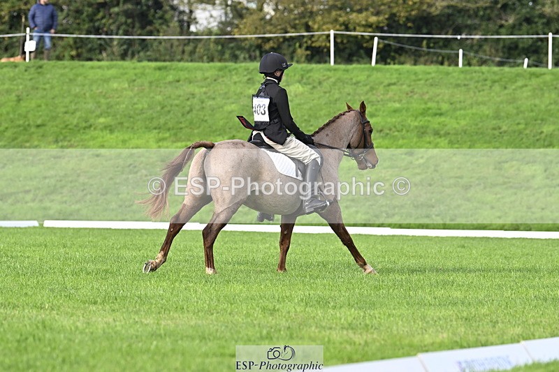 251023A-102127-02832 - F-403-Hugo.Moor