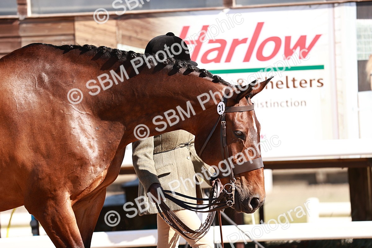 SBM_13270 - class 406 - IH Hunter