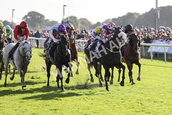 yr08102022r4-27 - Race 4 3.15pm The Coral Sprint Trophy