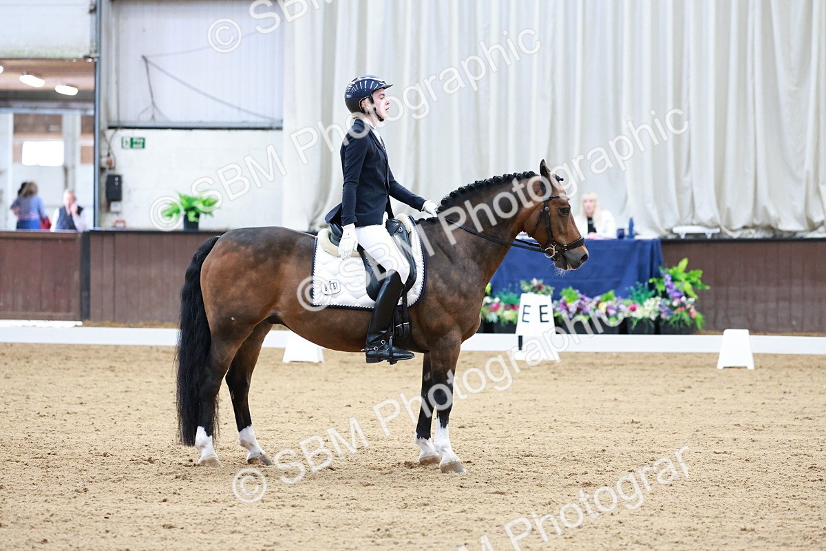 SBM_017166 - Class15 - FEI Pony