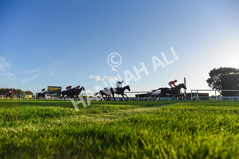 300926-Race 7-Prince Of Calypso-8287 - Race 7 5.25pm Amstel Gallop Handicap
