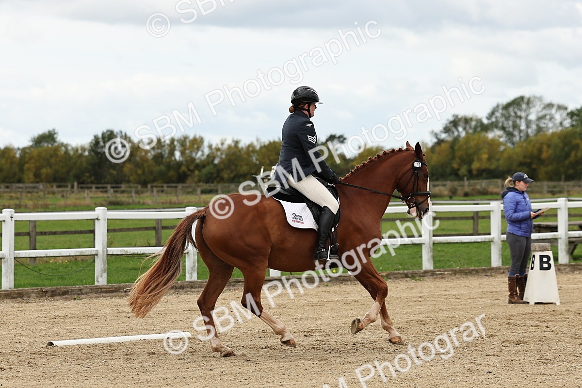 SBM_004629 - Class 69 - Novice 2