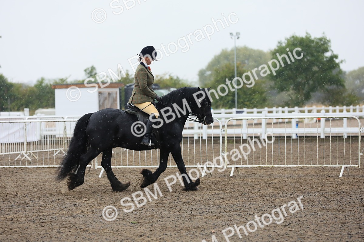 SBM_20541 - Class 804 - Ridden Veteran Pony