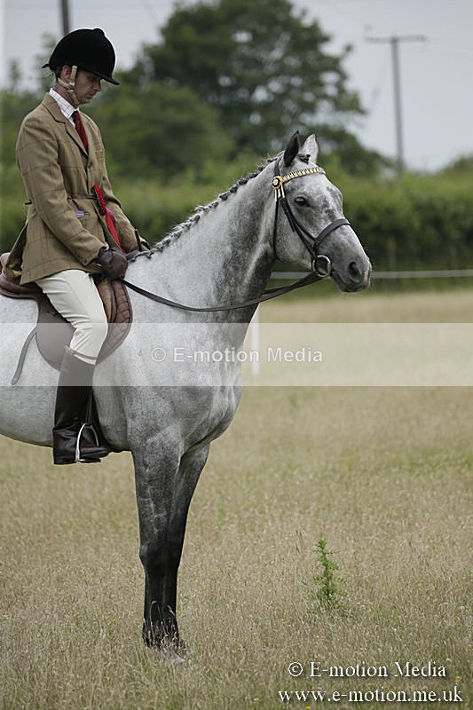 B230619-0951 - Bourne Valley Riding Club Summer Show 23/06/19