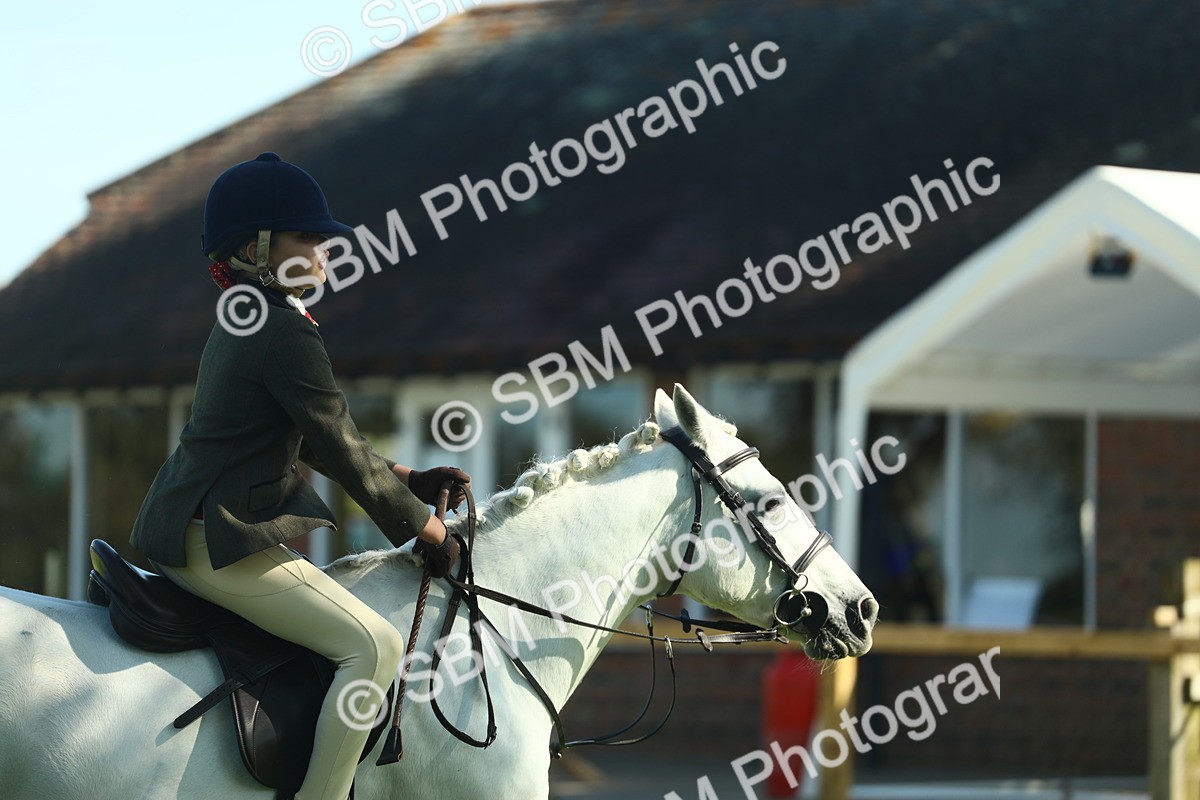 SBM_39131 - S29 - Novice & Newcomers Working Hunter Pony