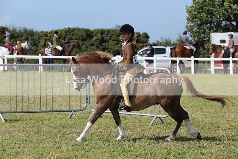 1X9A5783 - Class 40: NPS Welsh A & B