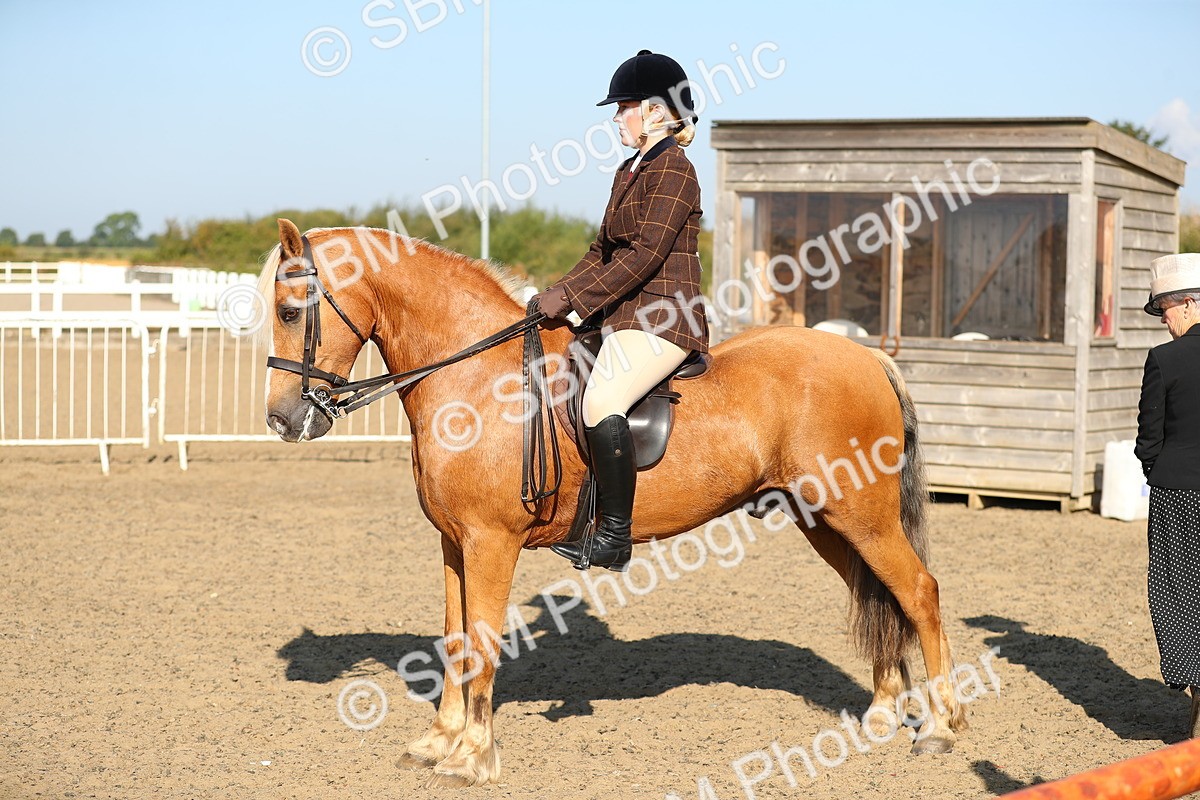 SBM_01197 - Class 42 Ridden Veteran