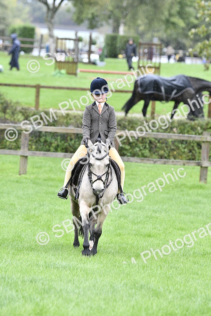 SBM_35533 - S30 - Nursery Stakes Working Hunter Pony
