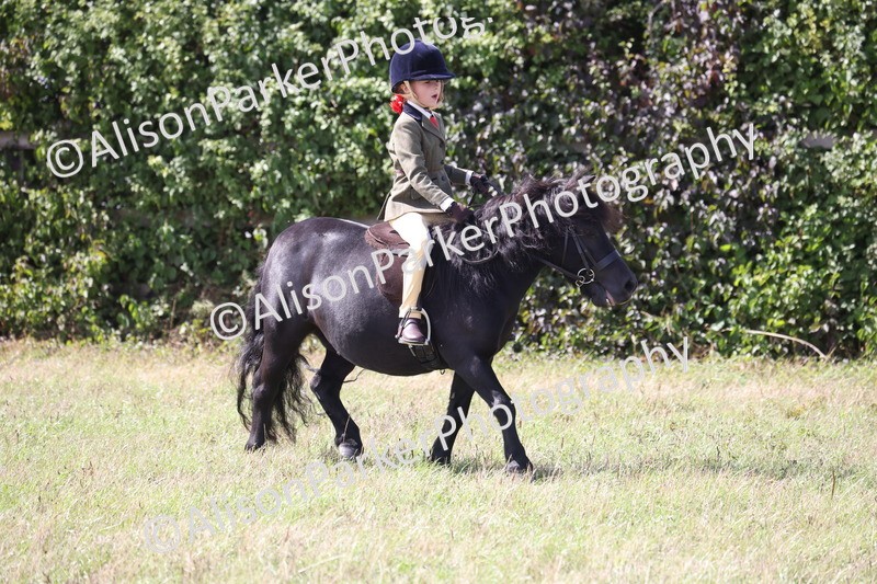 20260906-3122 - Class 18 - Childs First Pony