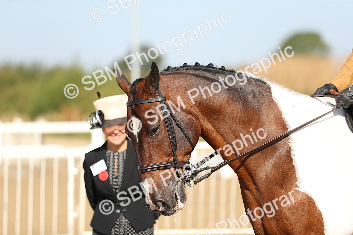 SBM_01219 - Class 42 Ridden Veteran